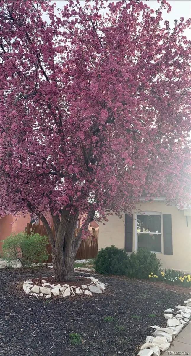 2223 Pine Street, Pueblo, CO 81004 - #3