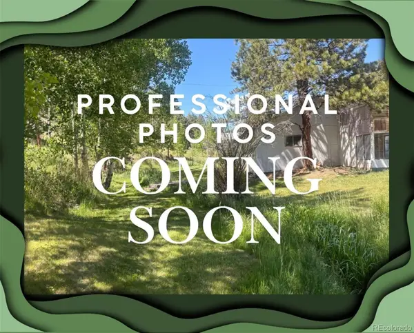 427 Brookside Drive, Bailey, CO 80421