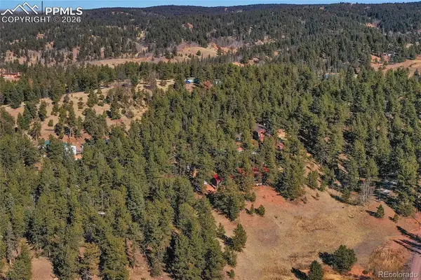 683 Kingston Drive, Florissant, CO 80816