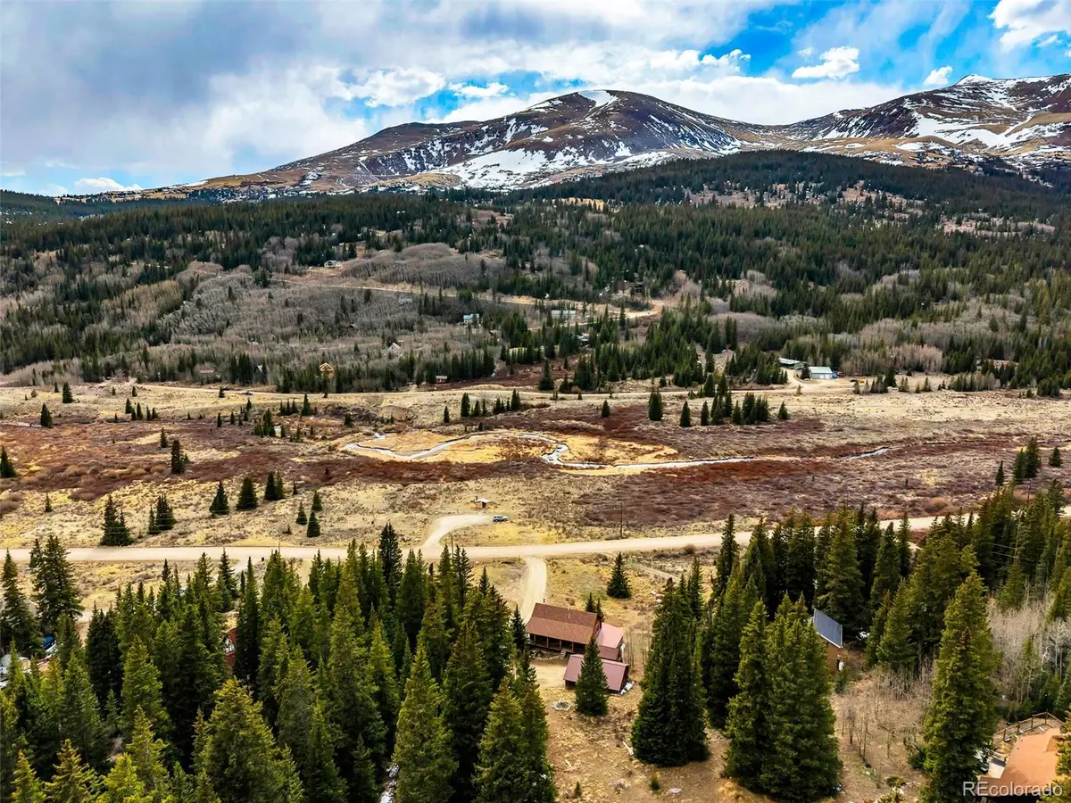 2246 County Road 4, Alma, CO 80420 - #1