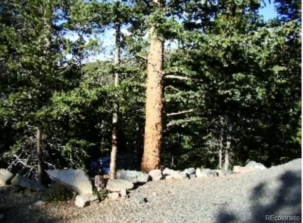 Lot 89 Mine Road, Idaho Springs, CO 80453