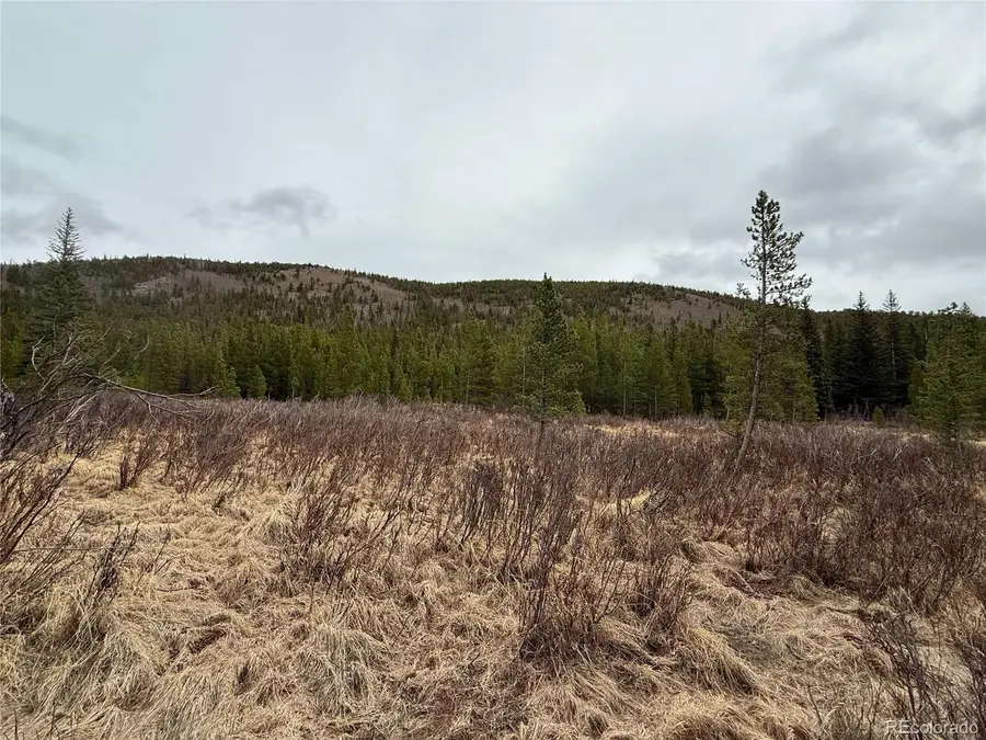 111 Silver Creek Road, Idaho Springs, CO 80452 - #2