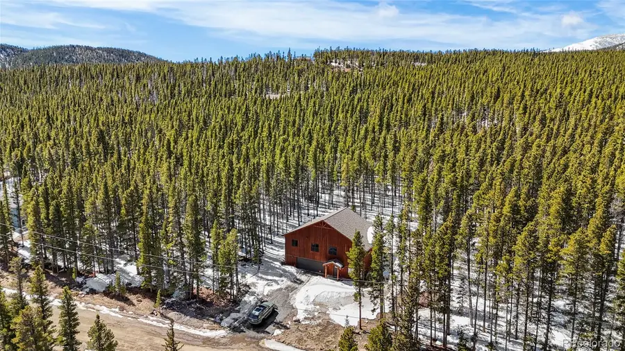 79 Beaver Road, Idaho Springs, CO 80452 - #2