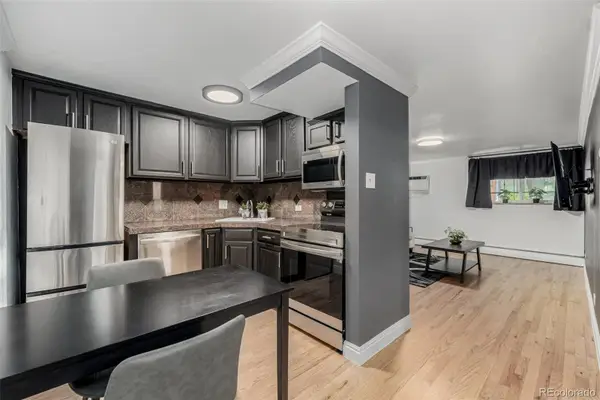 1390 N Emerson Street #101, Denver, CO 80218