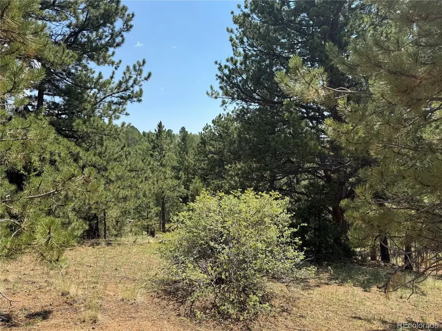 1986 May Queen Drive, Cripple Creek, CO 80813 - #2