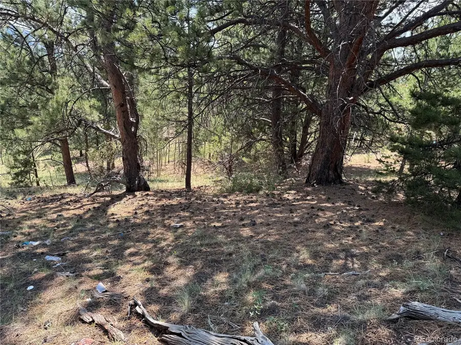 1986 May Queen Drive, Cripple Creek, CO 80813 - #3