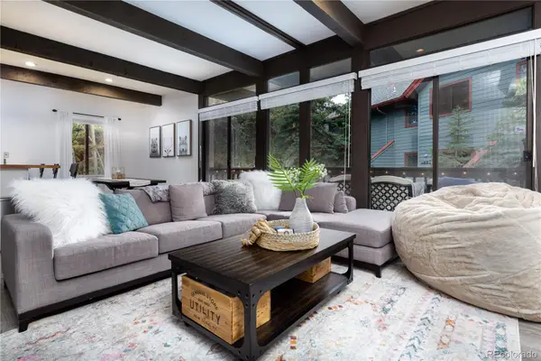 935 Columbine Road #206, Breckenridge, CO 80424