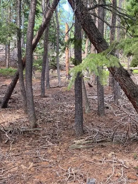 #3