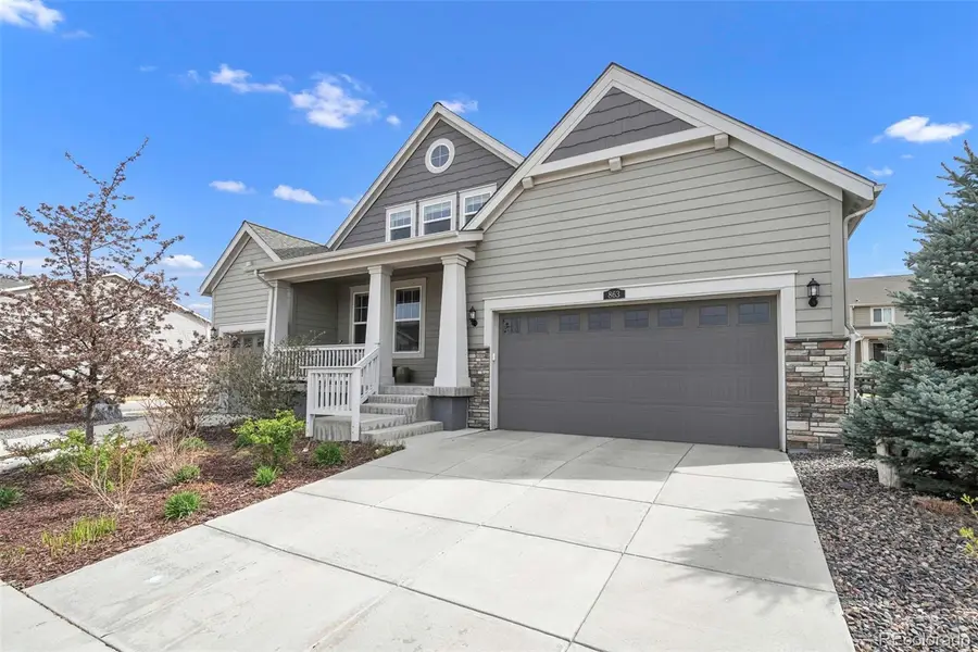 863 Carbonate Lane, Erie, CO 80516 - #3
