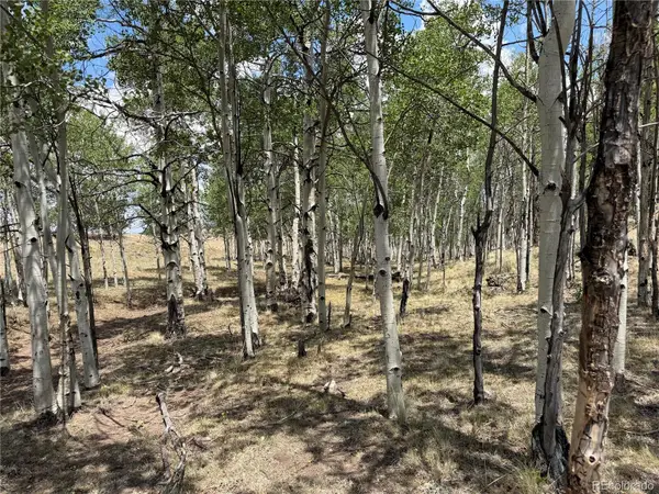 832 Ahlers Lane, Hartsel, CO 80449