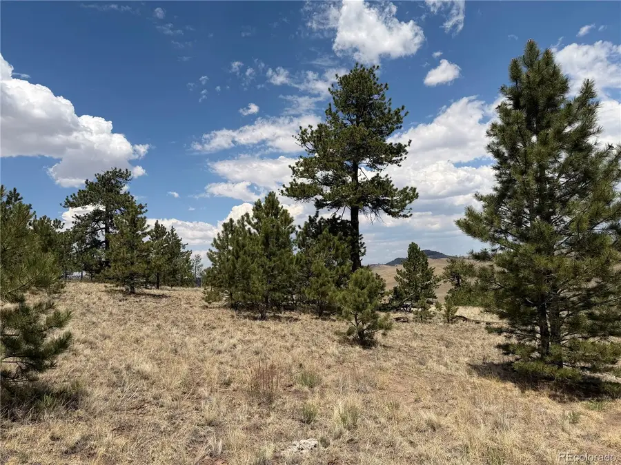 832 Ahlers Lane, Hartsel, CO 80449 - #2