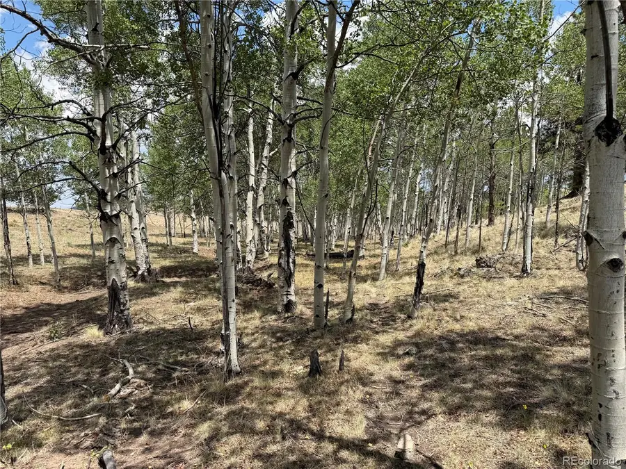 832 Ahlers Lane, Hartsel, CO 80449 - #3