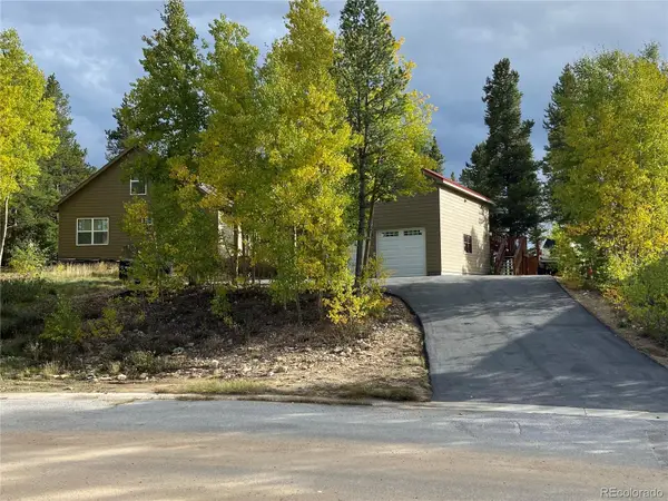 154 Brooklyn Circle, Leadville, CO 80461