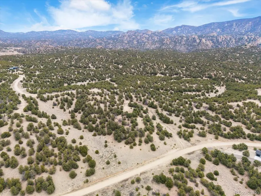 10292 Pioneer Trace, Nathrop, CO 81236 - #2