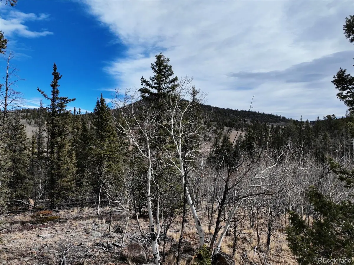 805 Longbow Drive, Como, CO 80432 - Image #1