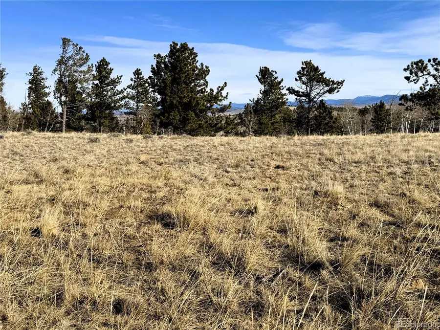 620 Wagon Wheel Road, Hartsel, CO 80449 - Image #3