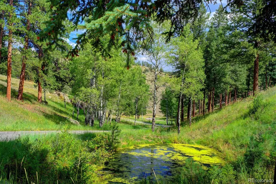 3325 Timbergate, Evergreen, CO 80439 - Image #3