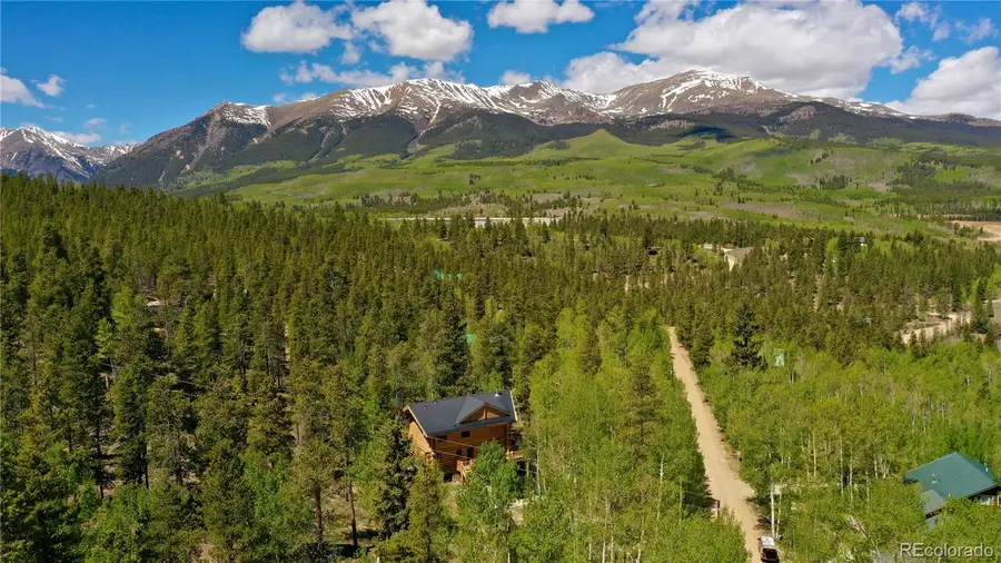 834 Lodge Pole Drive, Leadville, CO 80461 - #3
