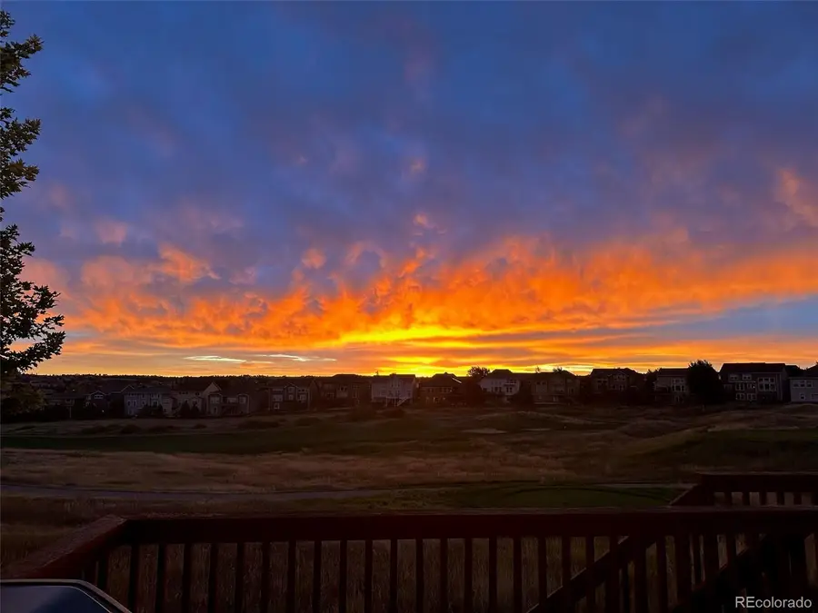 12078 Pine Top Street, Parker, CO 80138 - #3