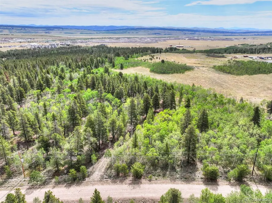 242 Green Bottle Circle, Fairplay, CO 80440 - #2