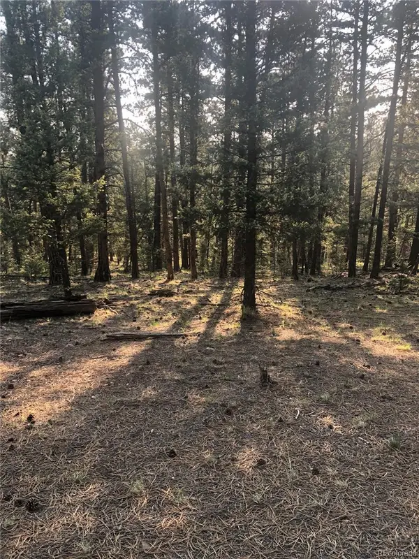 469 Echo Lake Drive, Lake George, CO 80827