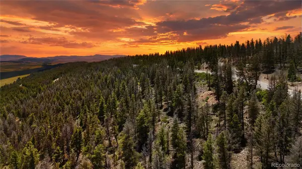 1396 Middle Fork Vista, Fairplay, CO 80440