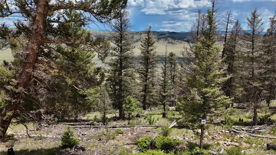 1396 Middle Fork Vista, Fairplay, CO 80440 - #2