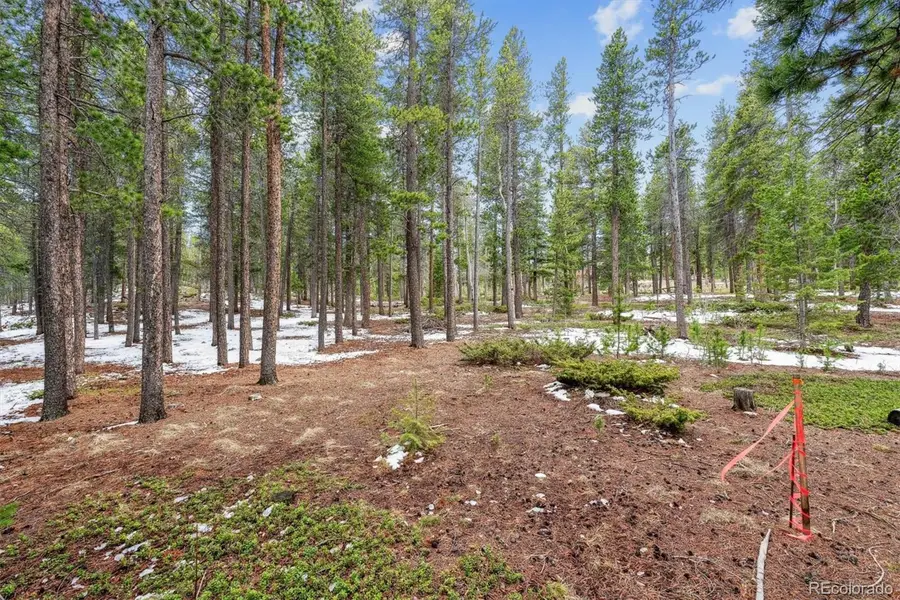 Rock Lake Road, Ward, CO 80481 - #3