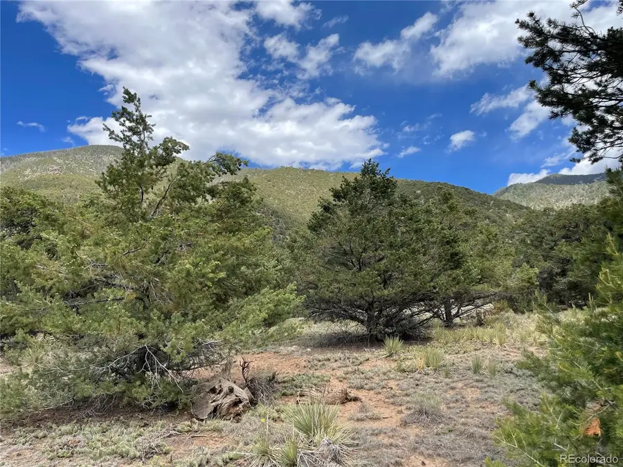 4303 Fallen Tree, Crestone, CO 81131 - #2
