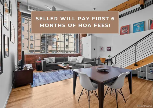 1090 Cherokee Street #301, Denver, CO 80204