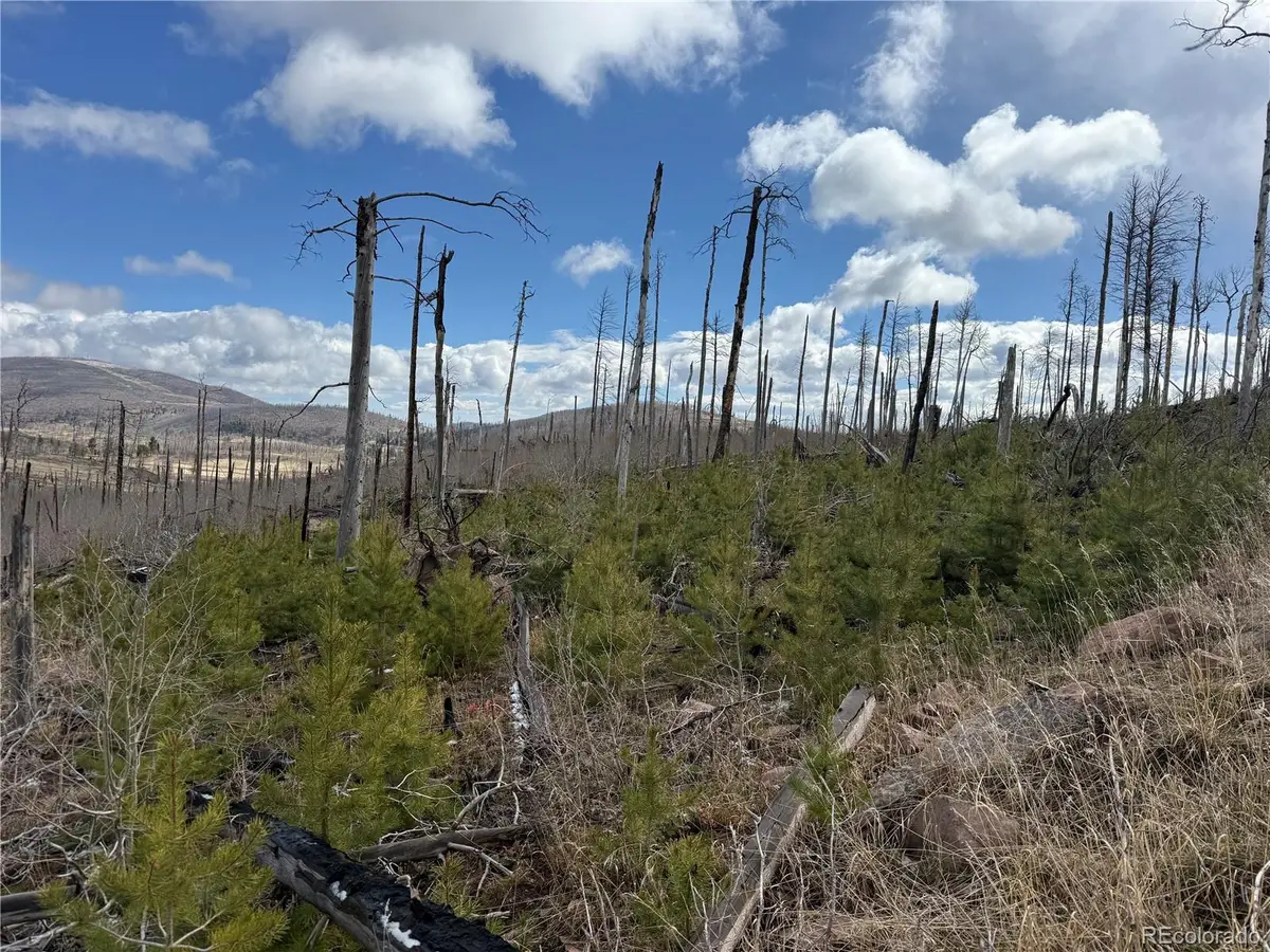 Lot 1960 Hilda Lane, Fort Garland, CO 81133 - #1