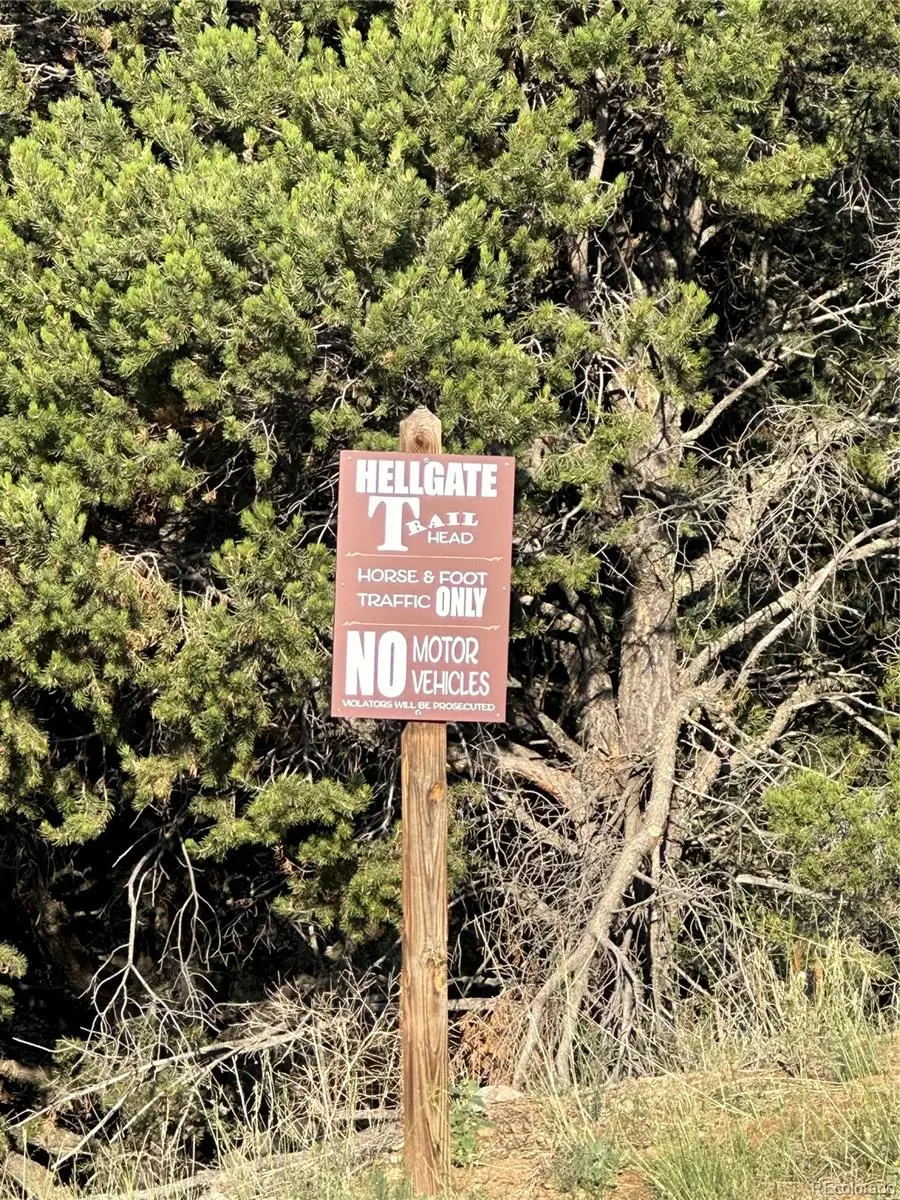 Ponderosa Trail, Canon City, CO 81212 - #2