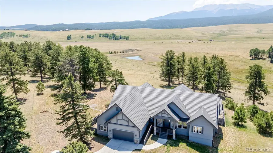 407 Silvermoon Heights, Divide, CO 80814 - #2