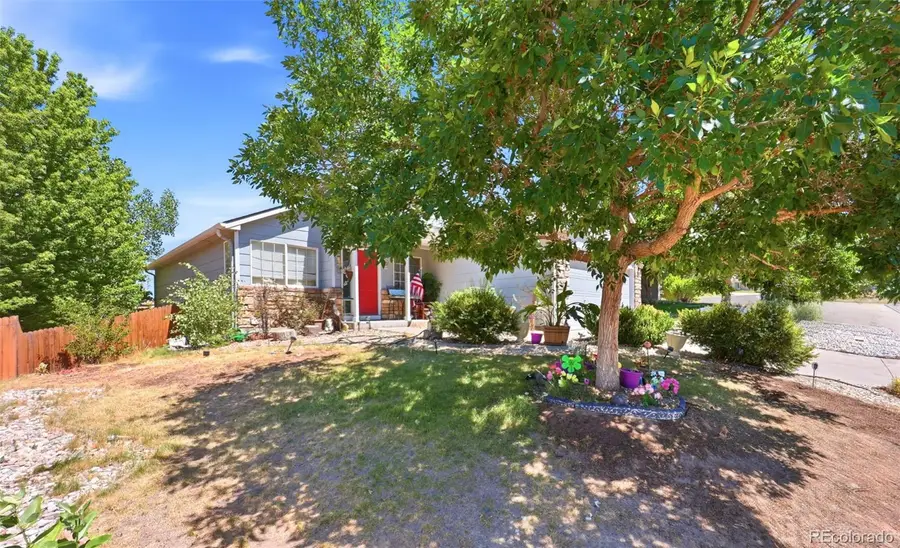 607 Branding Iron Lane, Castle Rock, CO 80104 - #3