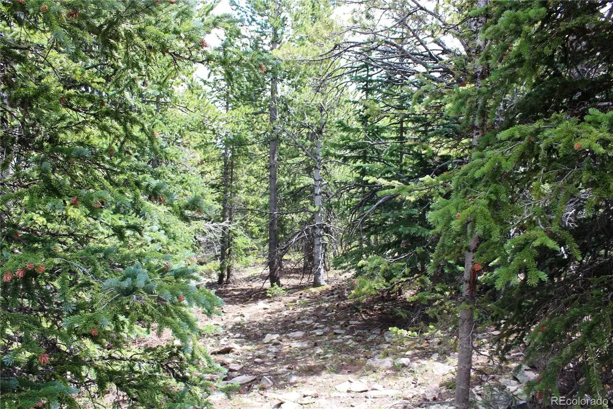 5285 Lucy Agnes, Black Hawk, CO 80422 - #1