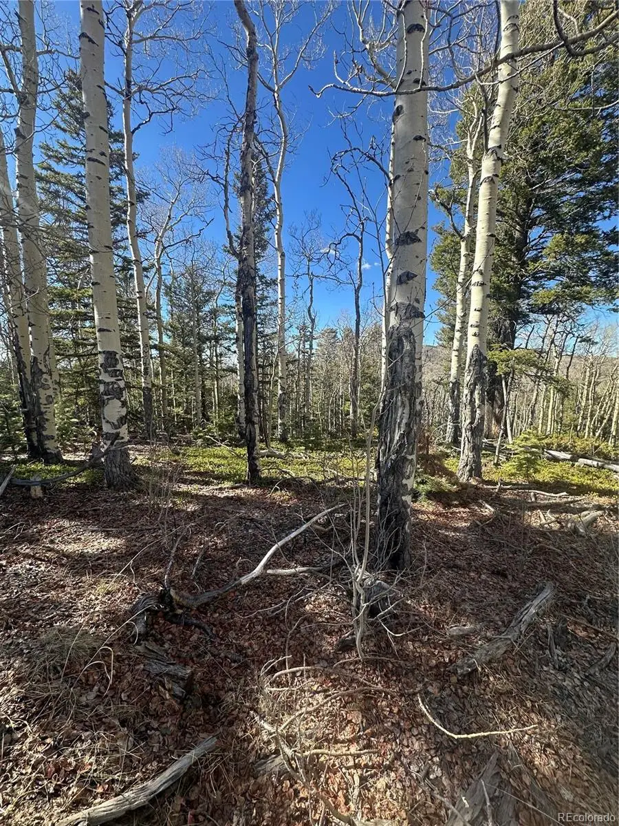 Lot 6744 Starkweather Road, San Luis, CO 81152 - #1
