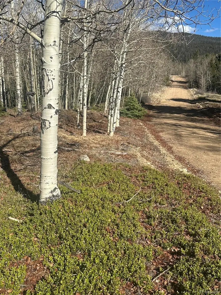 Lot 6744 Starkweather Road, San Luis, CO 81152 - #2