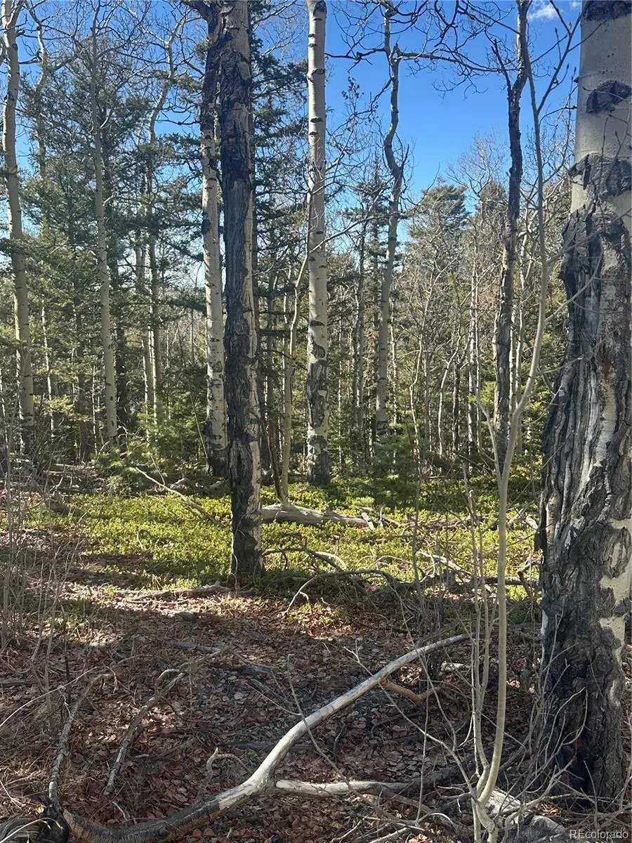 Lot 6744 Starkweather Road, San Luis, CO 81152 - #3