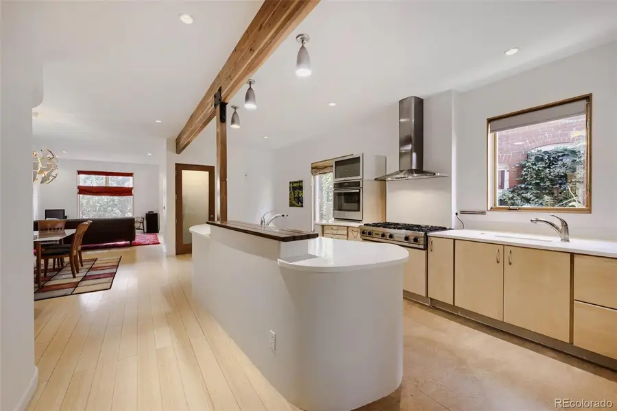 1217 Josephine Street, Denver, CO 80206 - #3