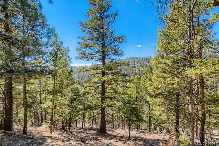 Elsie Road, Conifer, CO 80433 - Image #3