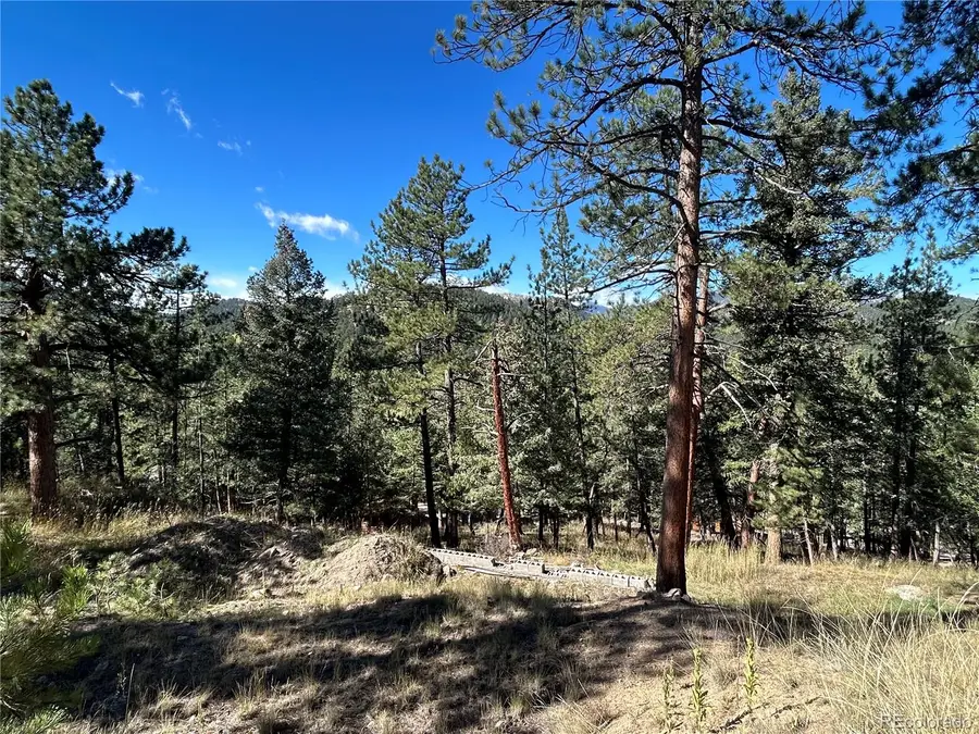 0 Pine Road, Evergreen, CO 80439 - Image #2