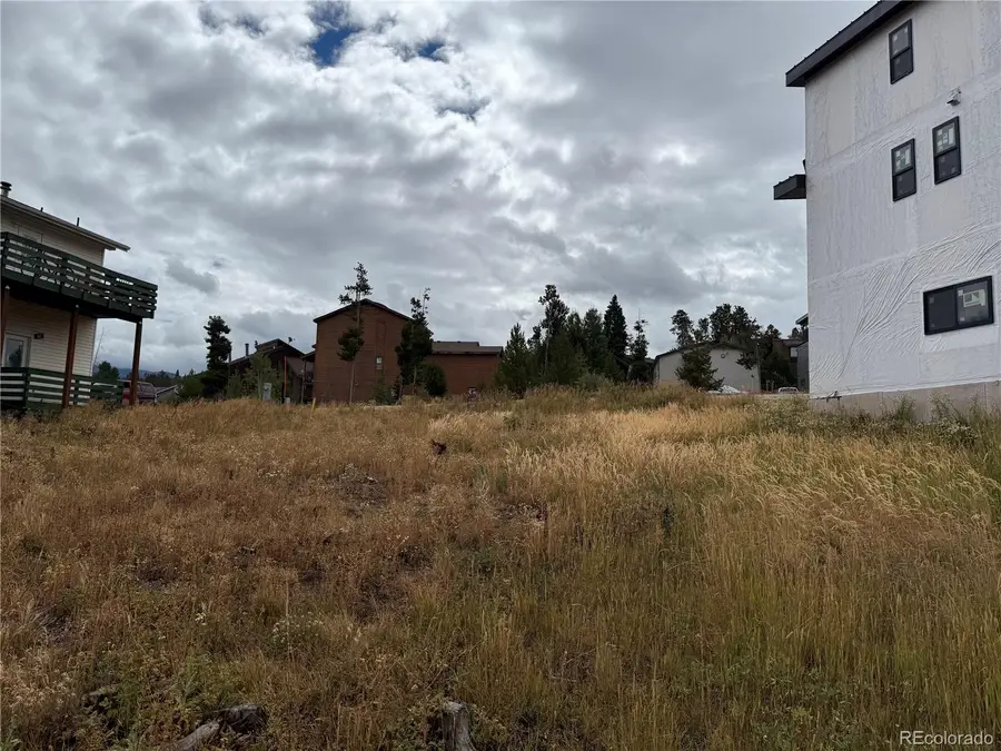 0816 Wapiti Drive, Fraser, CO 80442 - Image #3