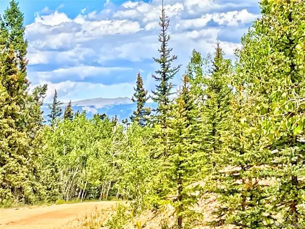 224 Apache Trail, Como, CO 80456