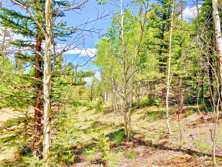 224 Apache Trail, Como, CO 80456 - #2