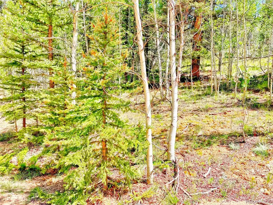 224 Apache Trail, Como, CO 80456 - #3
