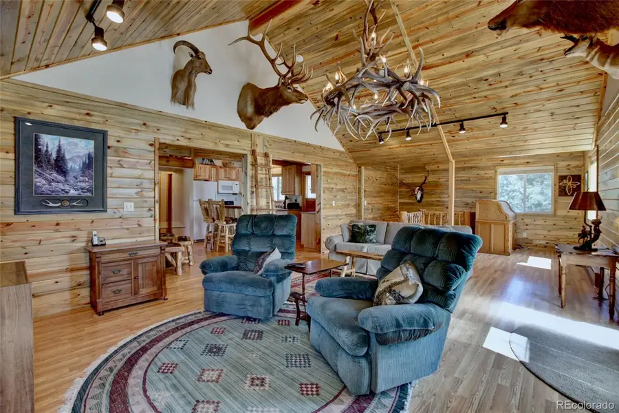 530 Red Feather Road, Cotopaxi, CO 81223 - #2