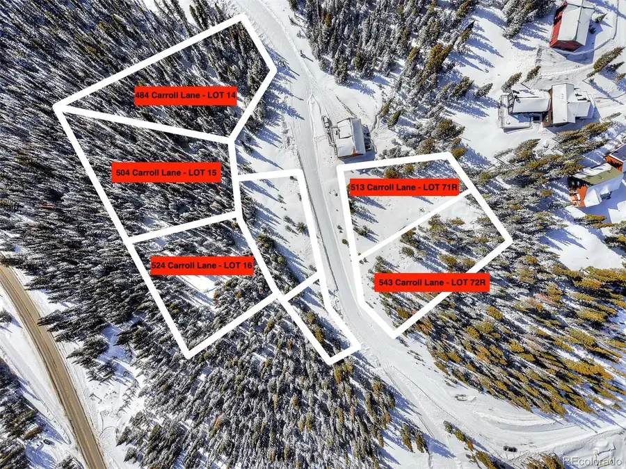 504 Carroll Lane, Breckenridge, CO 80424 - #3