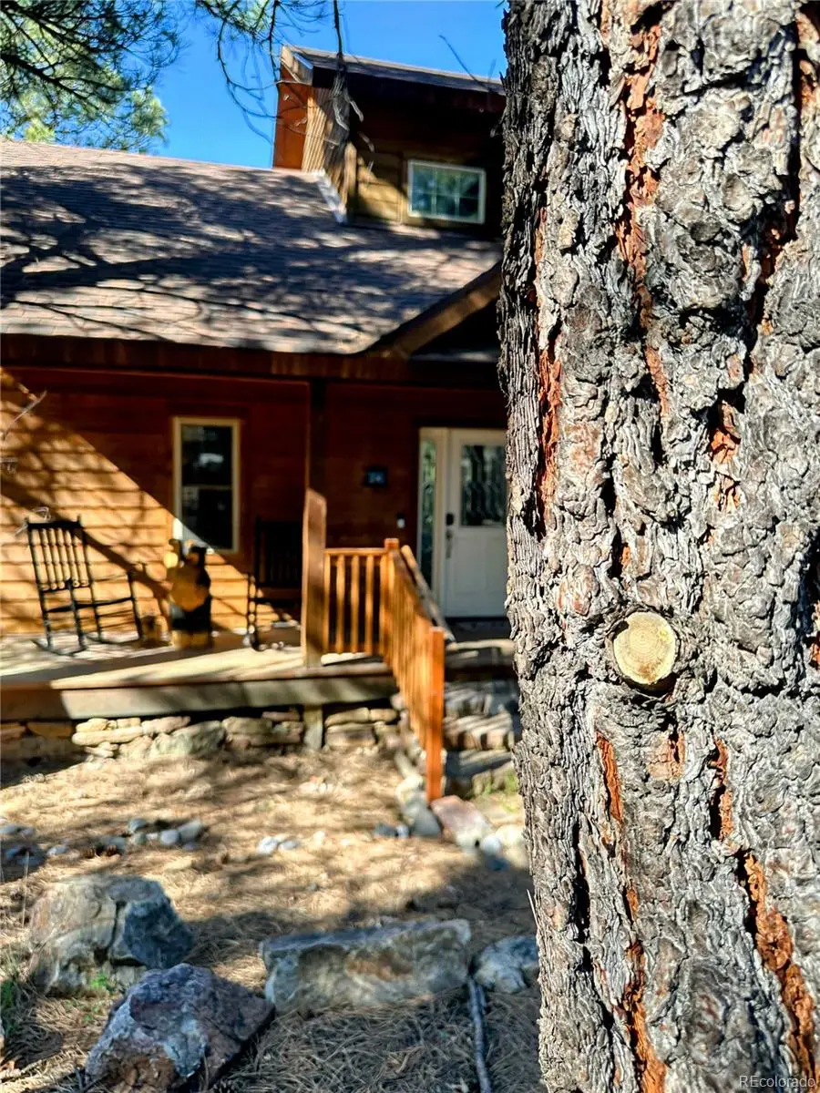 62 Masters Circle, Pagosa Springs, CO 81147 - #2