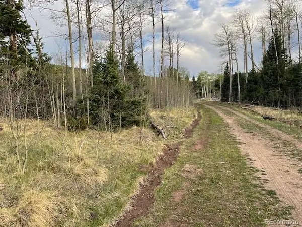 Lot 2610 Lux Lane, Fort Garland, CO 81133