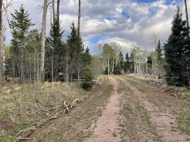 Lot 2610 Lux Lane, Fort Garland, CO 81133 - #3